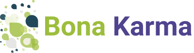 IT Consulting and Enterprise Software Development | Bona Karma Logo