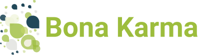 IT Consulting and Enterprise Software Development | Bona Karma Logo